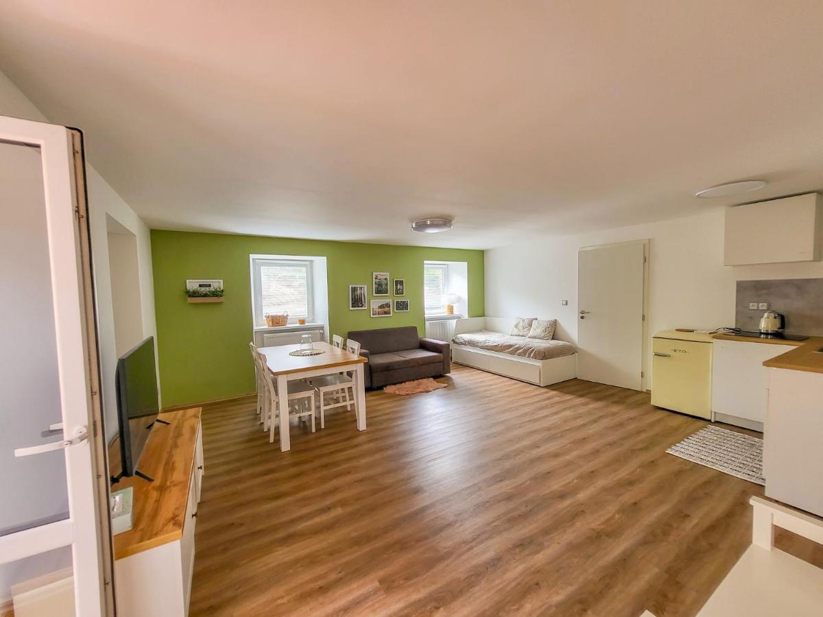 Apartmany U Kolacku Hartmanice  Екстериор снимка