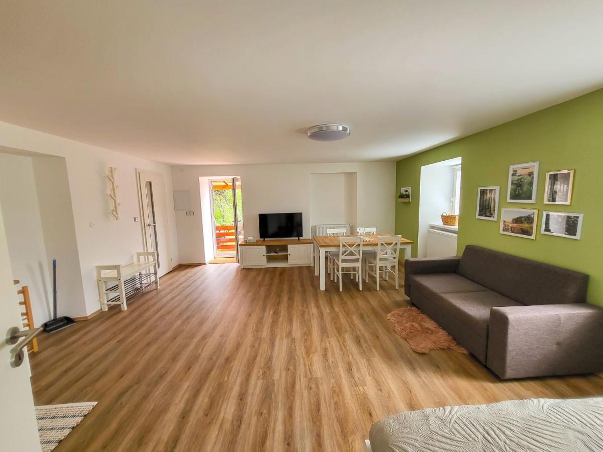 Apartmany U Kolacku Hartmanice  Екстериор снимка