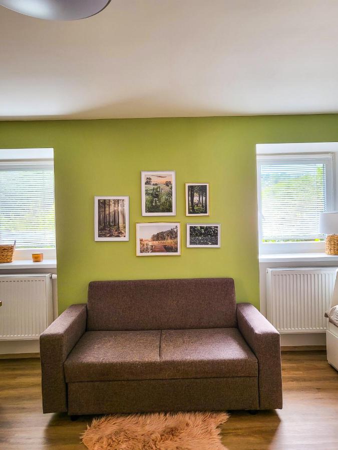 Apartmany U Kolacku Hartmanice  Екстериор снимка