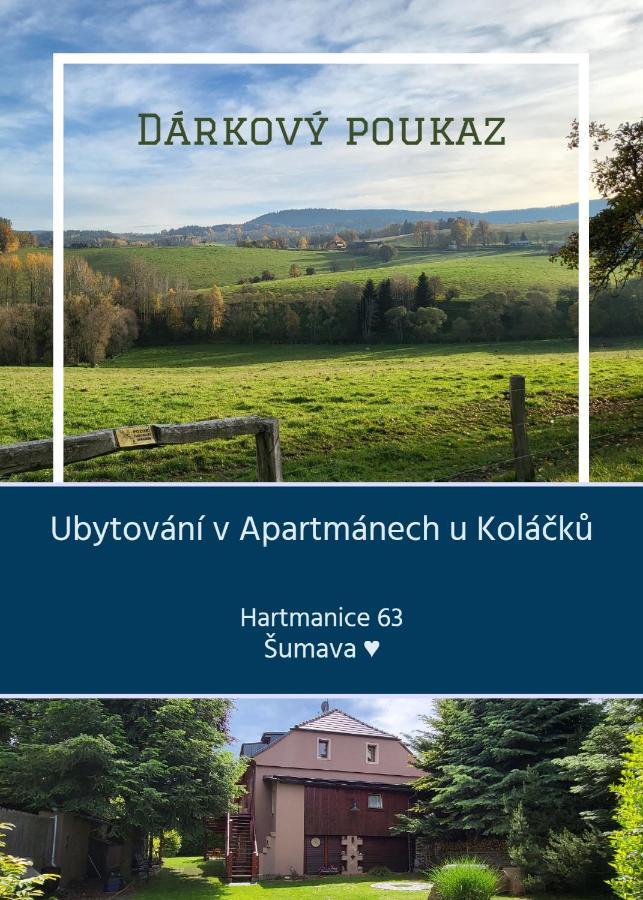 Apartmany U Kolacku Hartmanice  Екстериор снимка